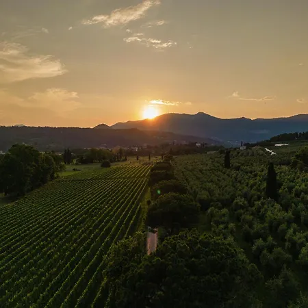度假居 Poderi La Rocchetta Luxury On The Hills Of Garda 圣菲利斯·德尔·贝纳茨