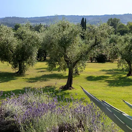 Poderi La Rocchetta Luxury On The Hills Of Garda بيت للعطل سان فيليتْشي ديل بيناكو